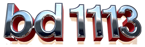 bd1113 logo